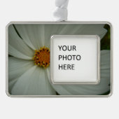 White Cosmos Summer Wildflower Floral Verzilverd Omlijst Ornament (Voorkant)