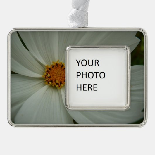 White Cosmos Summer Wildflower Floral Verzilverd Omlijst Ornament (Voorkant)