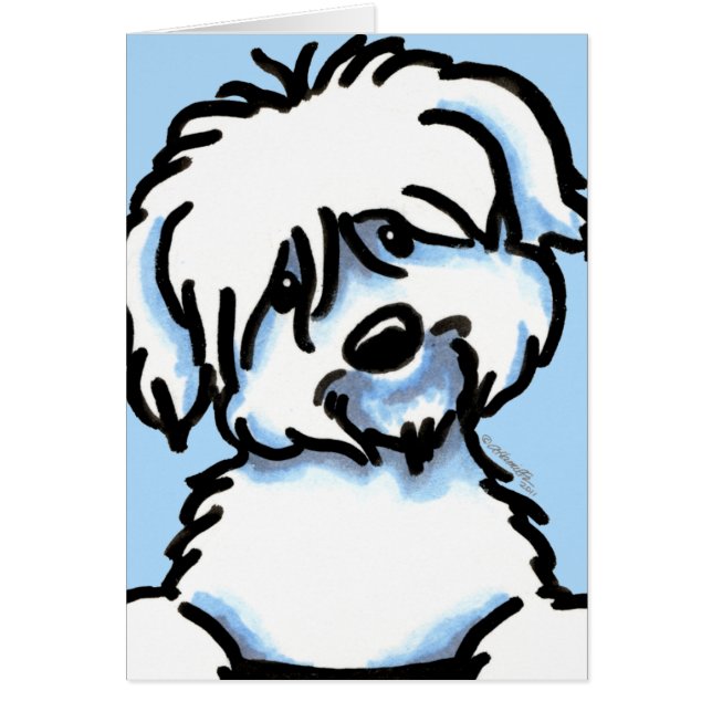 White Coton de Tulear Face (Voorkant)