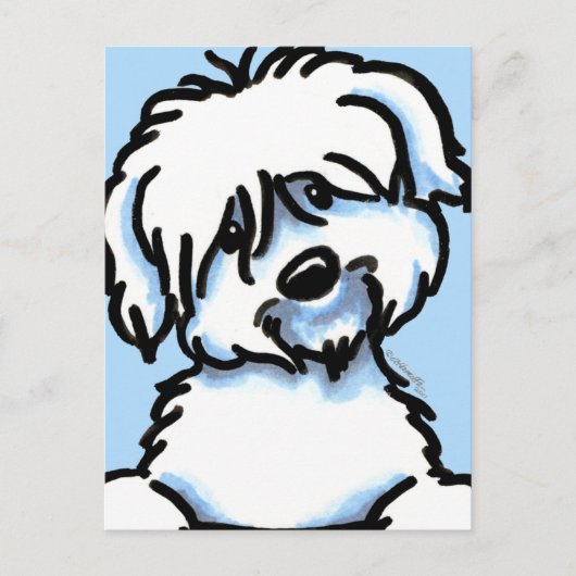 White Coton de Tulear Face Briefkaart (Voorkant)