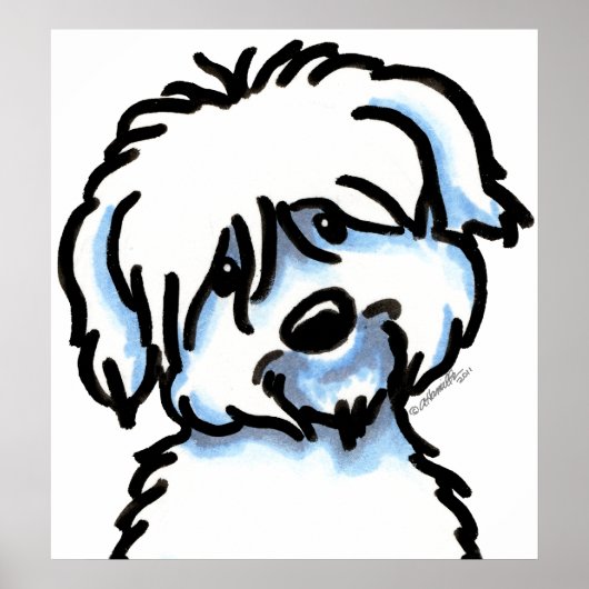 White Coton de Tulear Face Poster (Voorkant)