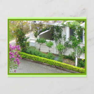 White Cottage in Botanic Gardens, Nieuw-Zeeland Briefkaart