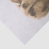 White Cow Bull die terugkijkt in een Foggy Field Tissuepapier (Detail)