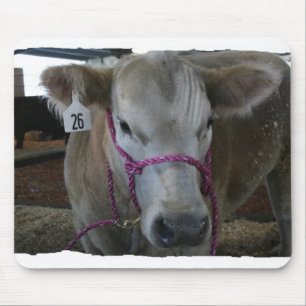 White Cow Head Shot op County Fair Muismat