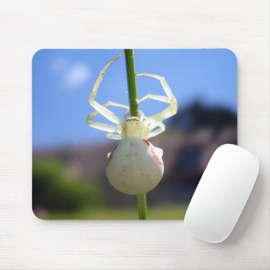 White Crab Spider Mouse Mat Muismat (Met muis)