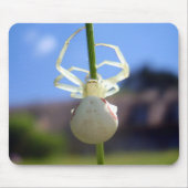 White Crab Spider Mouse Mat Muismat (Voorkant)