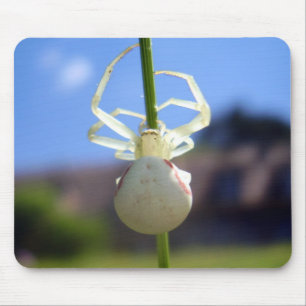 White Crab Spider Mouse Mat Muismat