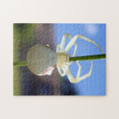 White Crab Spider Photo Puzzle met Gift Box Legpuzzel (Horizontaal)
