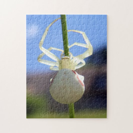 White Crab Spider Photo Puzzle met Gift Box Legpuzzel (Verticaal)