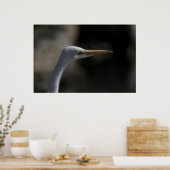 White Crane Bird Headshot Foto Poster (Keuken)