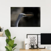White Crane Bird Headshot Foto Poster (Thuiskantoor)