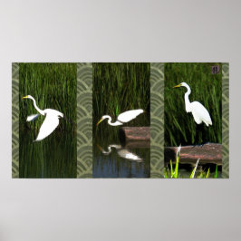 White Crane Triptych (Egret) Poster