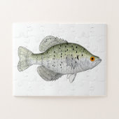 White Crappie Magnet Legpuzzel (Horizontaal)