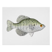 White Crappie Perfect Poster (Voorkant)