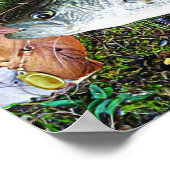 White Crappie Poster (Hoek)