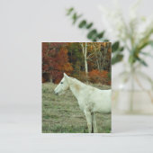White Cream Horse in an Autumn Field Briefkaart (Staand voorkant)