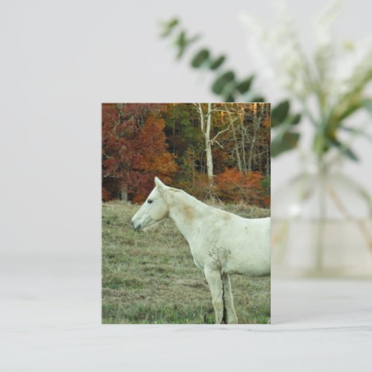 White Cream Horse in an Autumn Field Briefkaart (Staand voorkant)