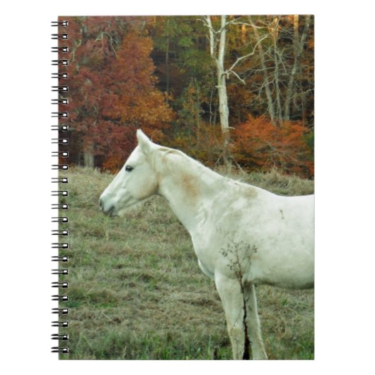 White Cream Horse in an Autumn Field Notitieboek (Voorkant)