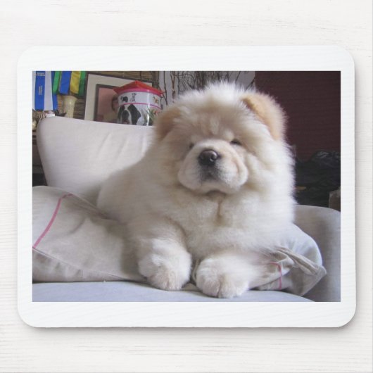 White Cream Puff Chow Chow Puppy Muismat (Voorkant)