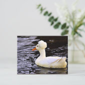White Crested Duck Briefkaart (Staand voorkant)