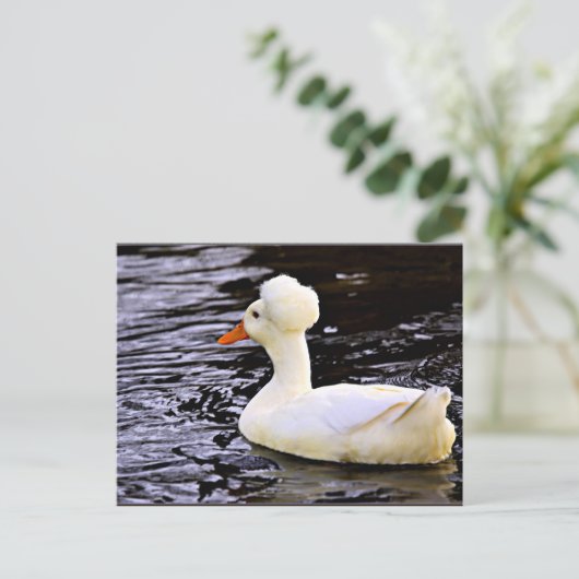 White Crested Duck Briefkaart (Staand voorkant)