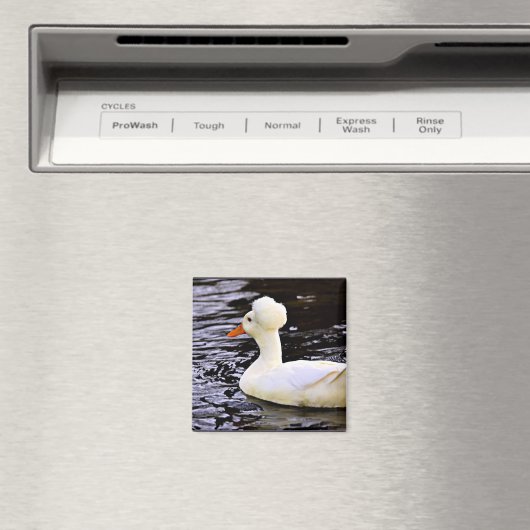 White Crested Duck Magneet (Insitu (Vaatwasser))