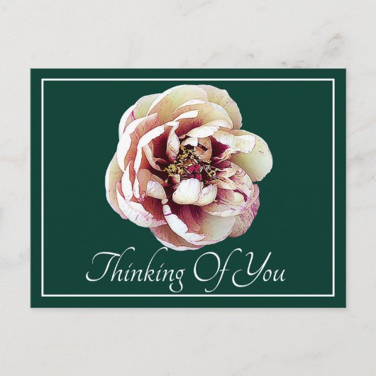 White Crimson Peony Green Backdrop die je denkt Briefkaart (Voorkant)