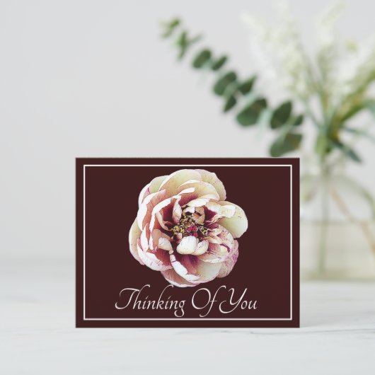 White Crimson Peony Wine Backdrop die je denkt Briefkaart (Staand voorkant)