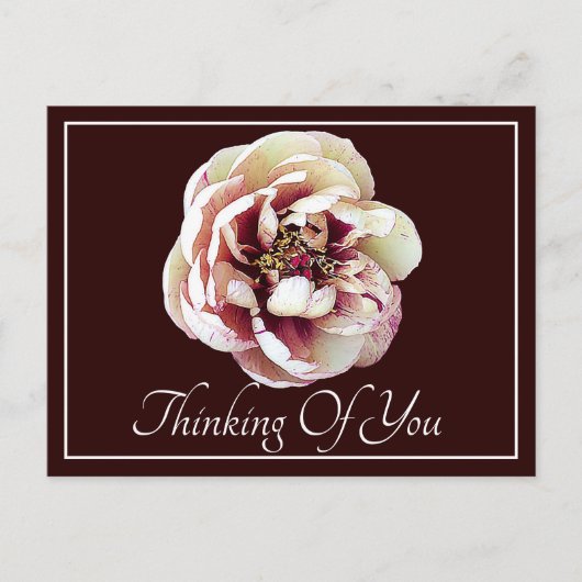 White Crimson Peony Wine Backdrop die je denkt Briefkaart (Voorkant)