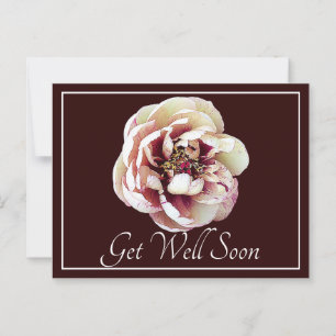 White & Crimson Peony Wine Background Briefkaart