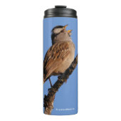 White-Crowned Sparrow Sings a Morning Aria Thermosbeker (Voorkant)