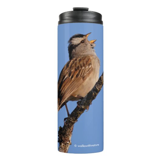 White-Crowned Sparrow Sings a Morning Aria Thermosbeker (Voorkant)