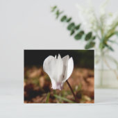 White Cyclamen Briefkaart (Staand voorkant)
