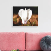 White Cyclamen Canvas Print (Insitu (Woonkamer))