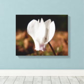 White Cyclamen Canvas Print (Insitu (Houten vloer))
