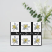 White Daffodil Briefkaart (Staand voorkant)