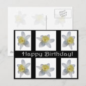 White Daffodil Briefkaart (Voorkant / Achterkant)