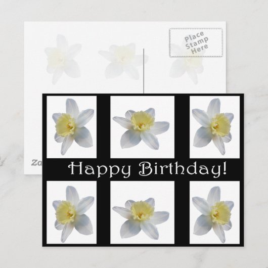 White Daffodil Briefkaart (Voorkant / Achterkant)