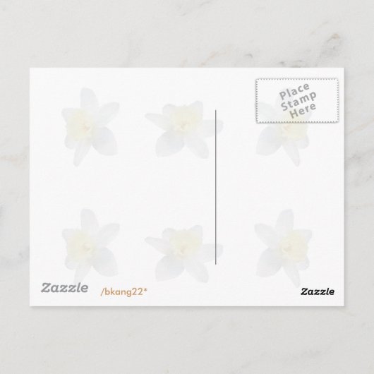 White Daffodil Briefkaart (Achterkant)