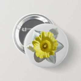 White Daffodil Button