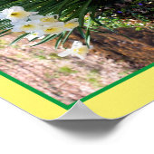 White Daffodil Flowers beroemd gemaakt door Brook  Poster (Hoek)