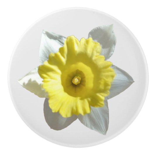 White Daffodil Keramische Knop (Voorkant)