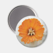 White Daffodil Magnet (Voorkant / Achterkant)