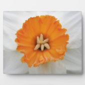 White Daffodil Plaque Fotoplaat (Voorkant)