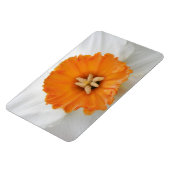 White Daffodil Premium Magnet Magneet (Linkerzijde)