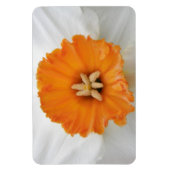 White Daffodil Premium Magnet Magneet (Verticaal)
