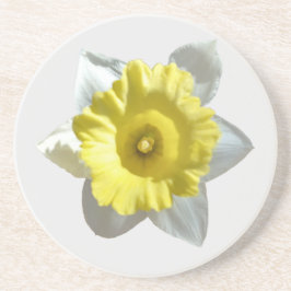 White Daffodil Sandstone Onderzetter