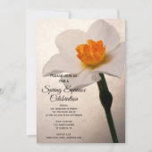 White Daffodil Spring Equinox Celebration Kaart (Voorkant)