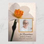 White Daffodil Spring Funeral Memorial Service Programmakaart (Voorkant)