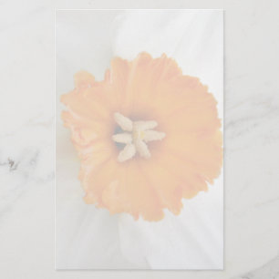 White Daffodil Stationery Briefpapier